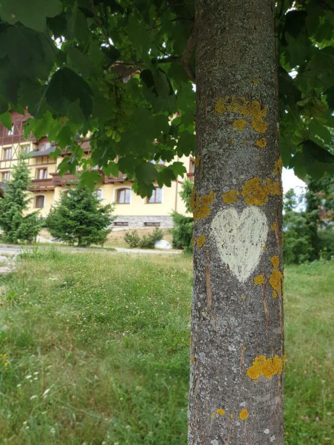 Apartman Erika Wielka Łomnica Zewnętrze zdjęcie